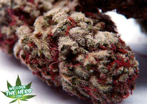 Strawberry Shortcake Strain
 139 best Strains To Try images on Pinterest