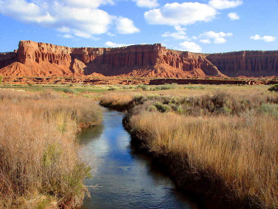 Streams In The Dessert
 Desert Stream graph by Rikka chan