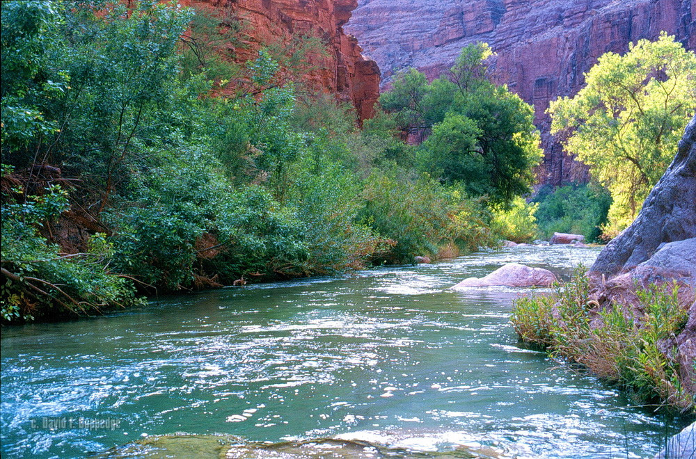 Streams In The Dessert
 Streams in the desert