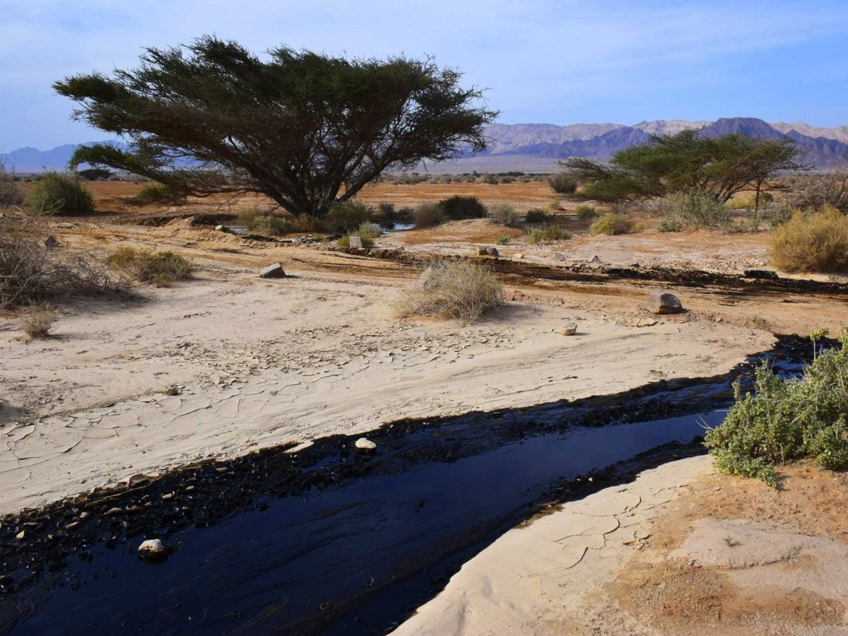 Streams In The Dessert
 Restore our Fortunes Like Streams Biblical Israel Tours