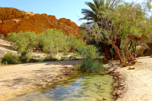 Streams In The Dessert
 Maize and Blue desert