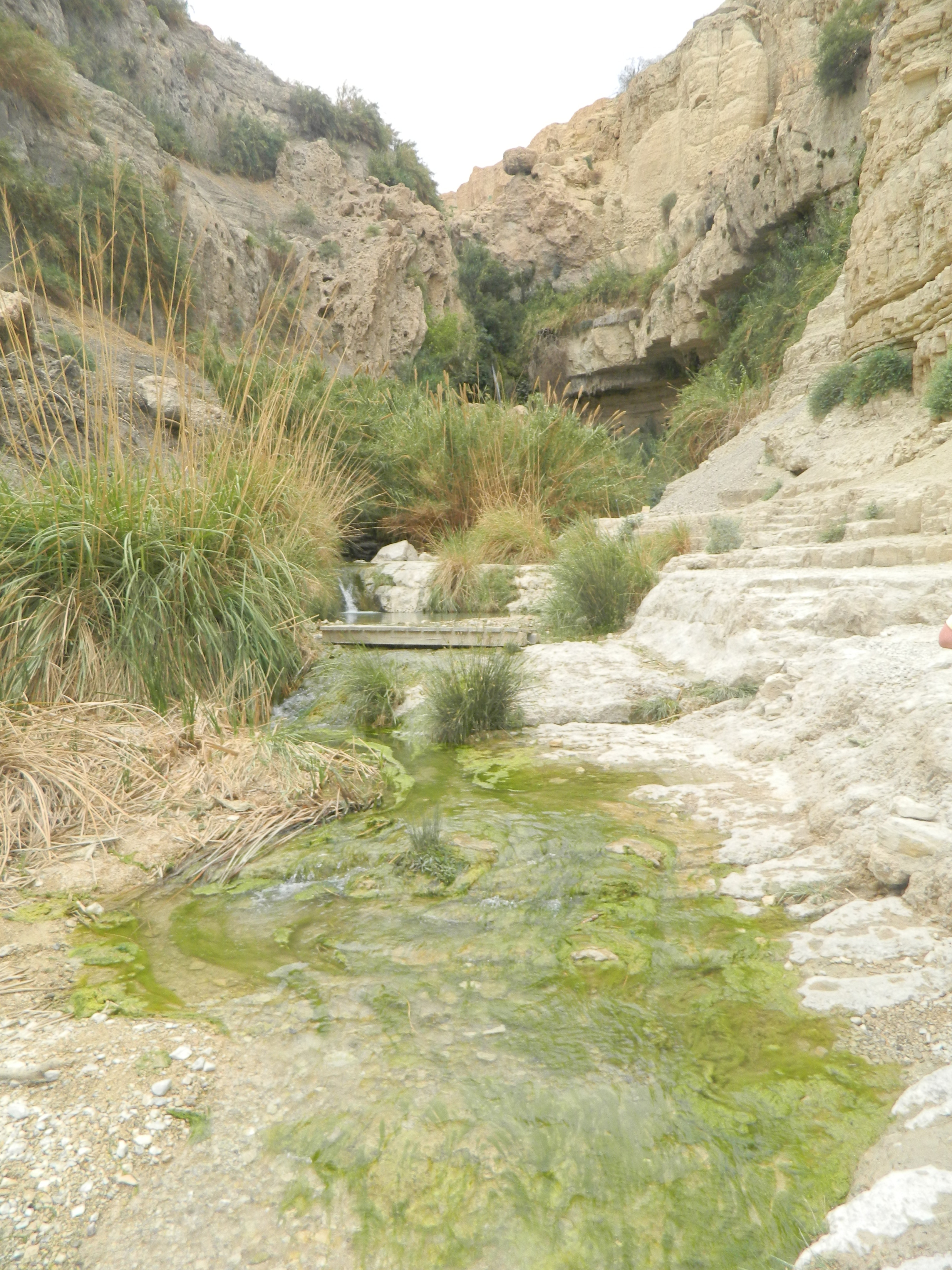 Streams In The Dessert
 Streams in the Desert