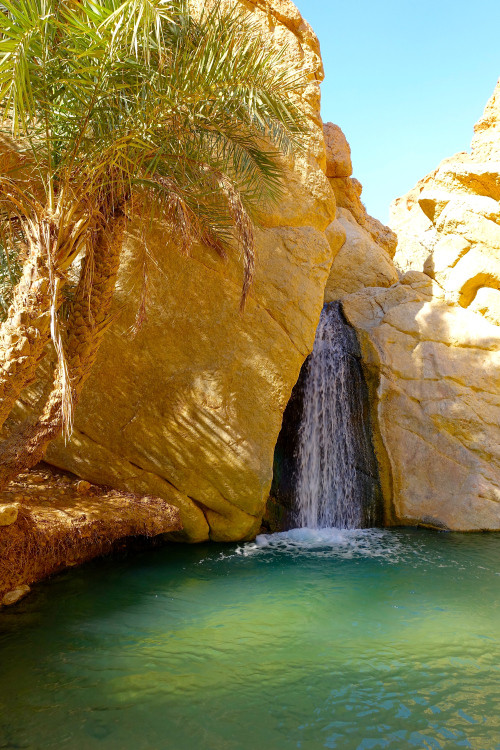 Streams In The Dessert
 Streams in the desert Tunisian wilderness finding a