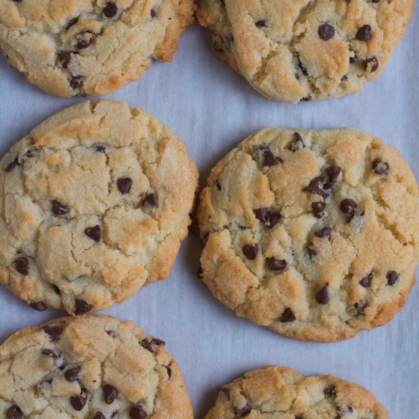 Sugar Free Chocolate Chip Cookies
 Chocolate Chip Sugar Cookies • Hip Foo Mom