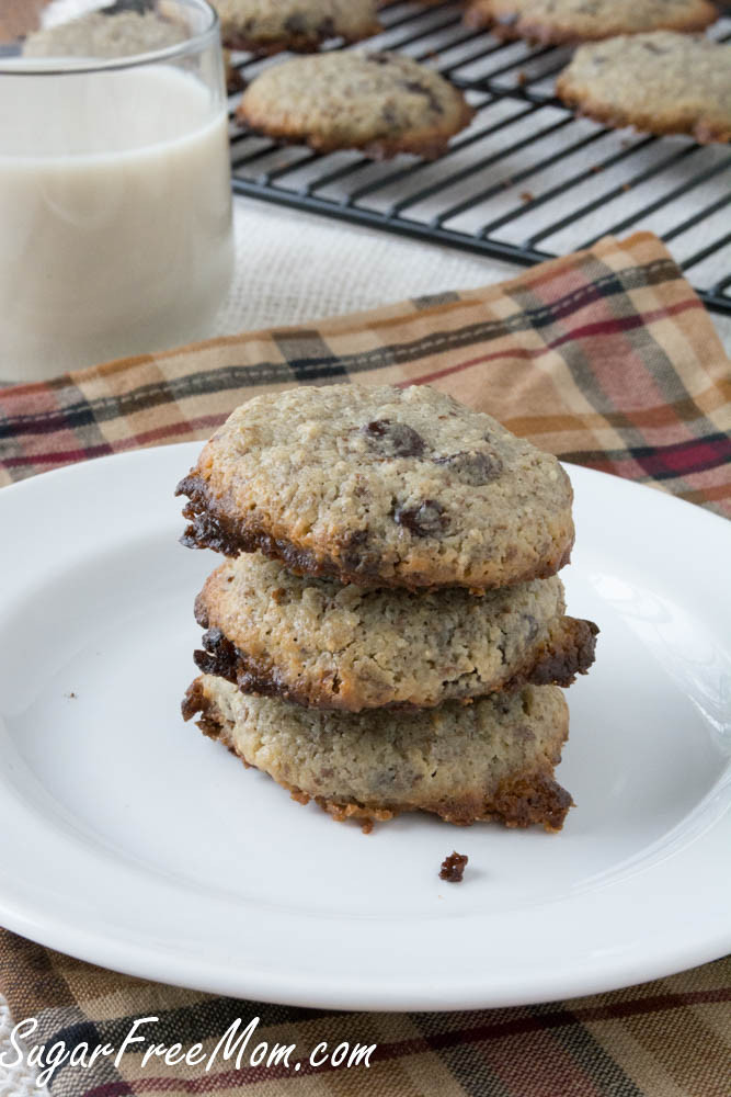 Sugar Free Chocolate Chip Cookies
 Sugar Free Grain Free Chocolate Chip Cookies