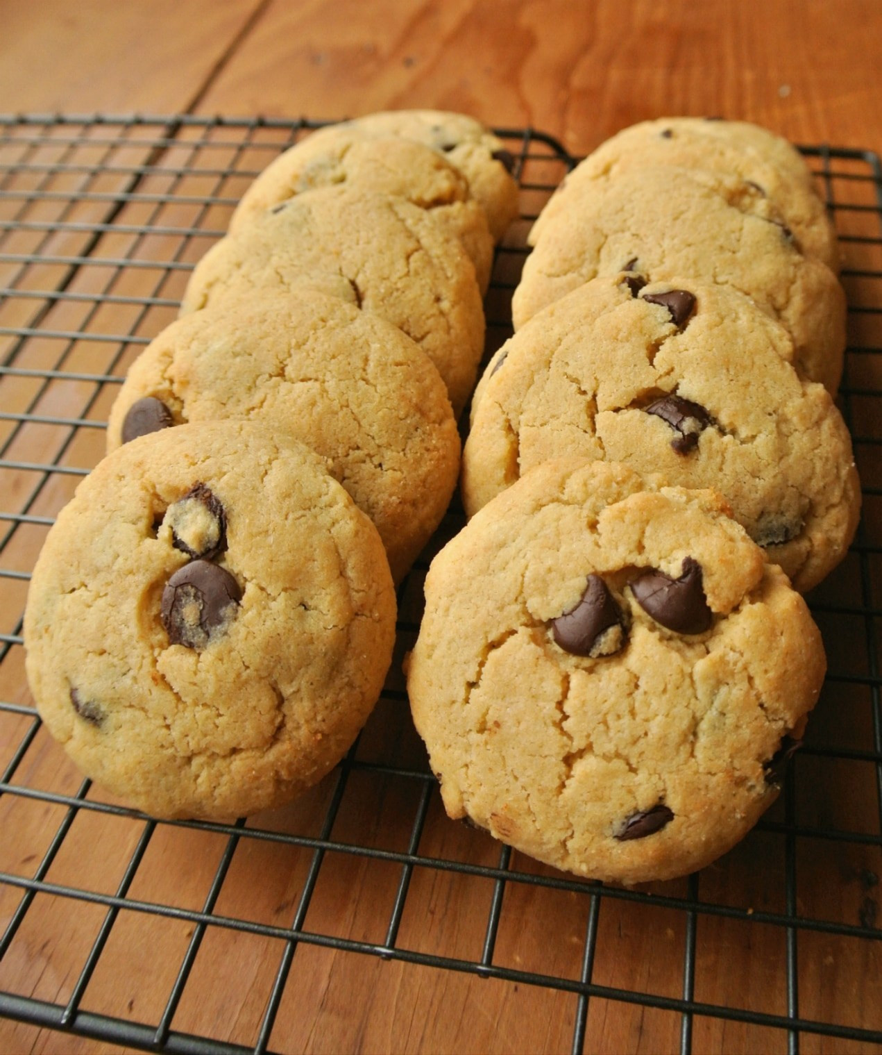 Sugar Free Chocolate Chip Cookies
 Search Results for “Chocolate cookie”