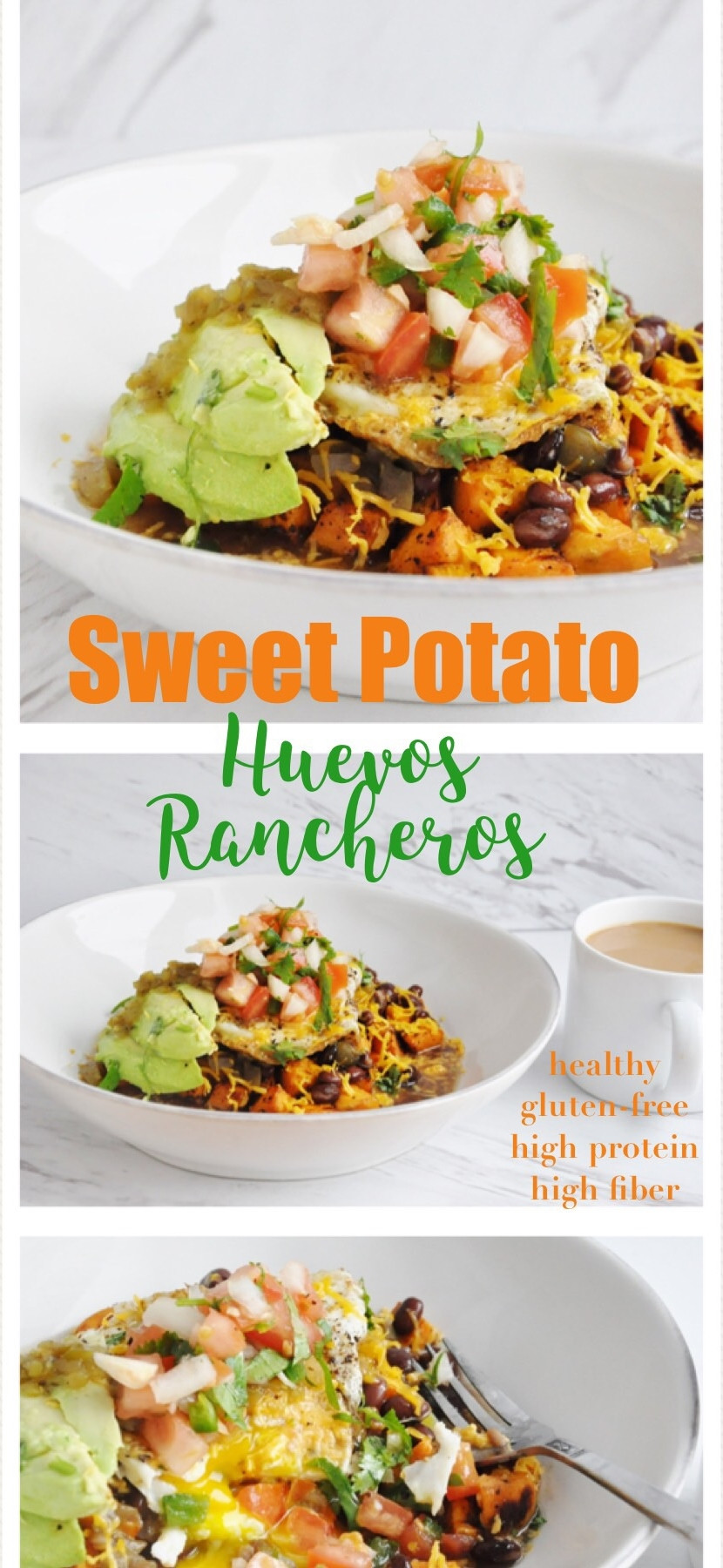 Sweet Potato Fiber
 sweet potatoes high fiber