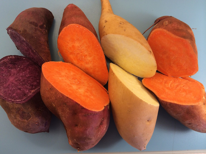 Sweet Potato Vs Yam
 Sweet Potato vs Yam