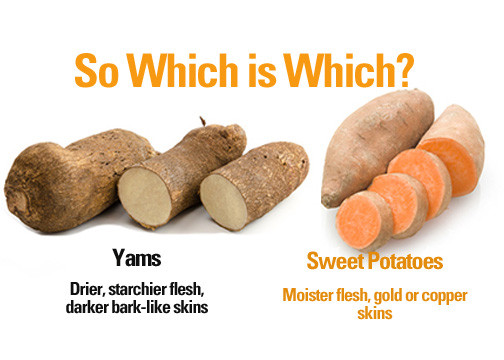 Sweet Potato Vs Yam
 Yams and Sweet Potatoes Not the Same FYI Cynthia