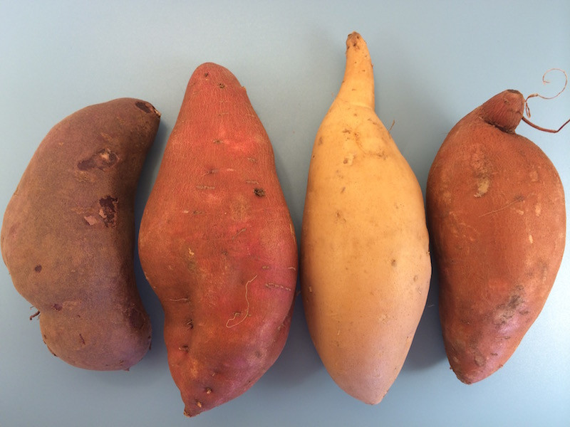 Sweet Potato Vs Yam
 Sweet Potato vs Yam