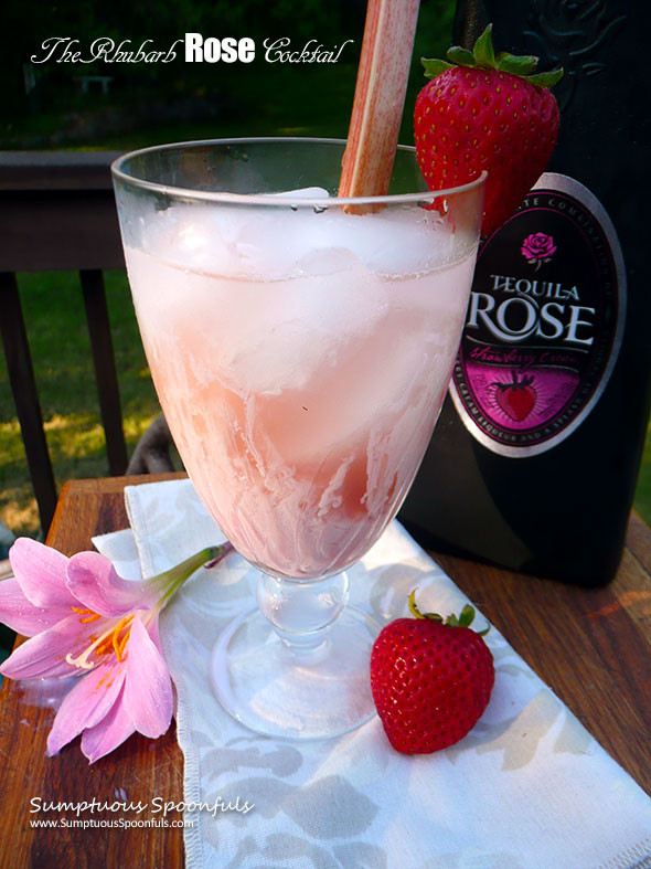 Tequila Rose Drinks Recipes
 The Rhubarb Rose Cocktail