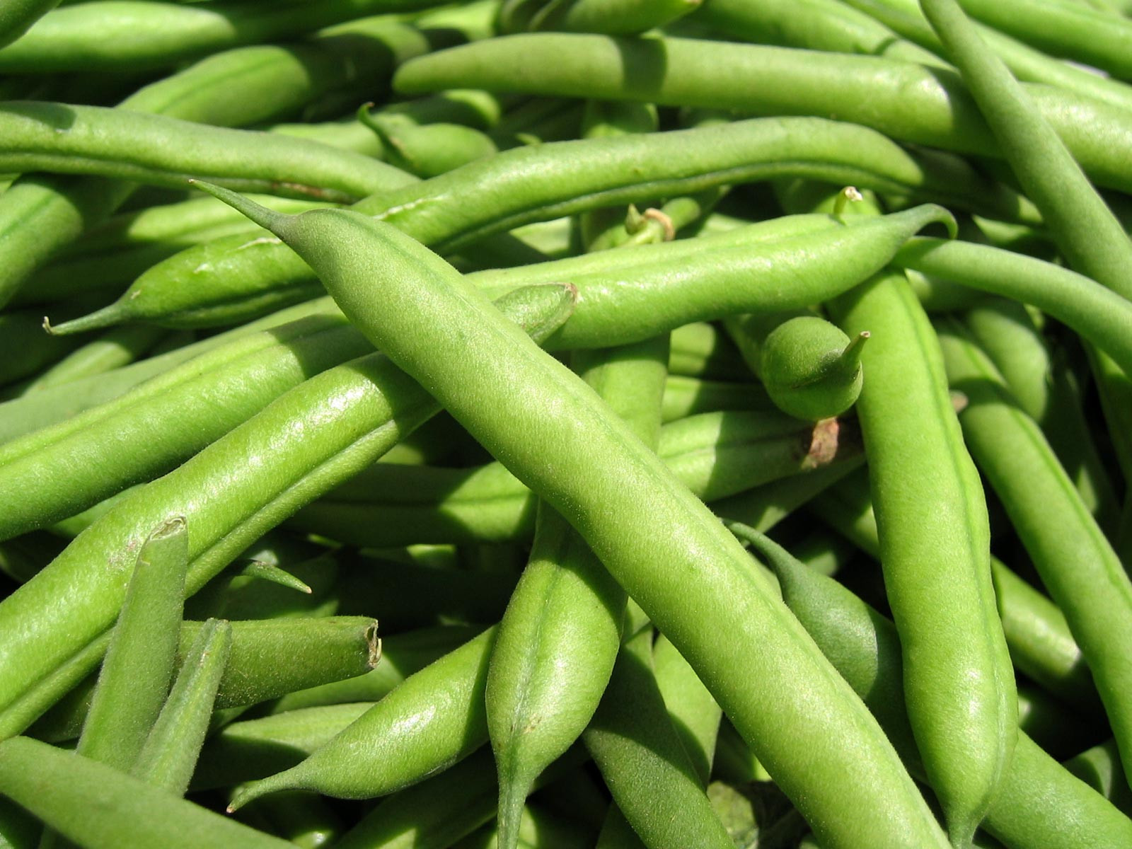 The Green Bean
 Green Bean Juice in Order to Treat Diabetes