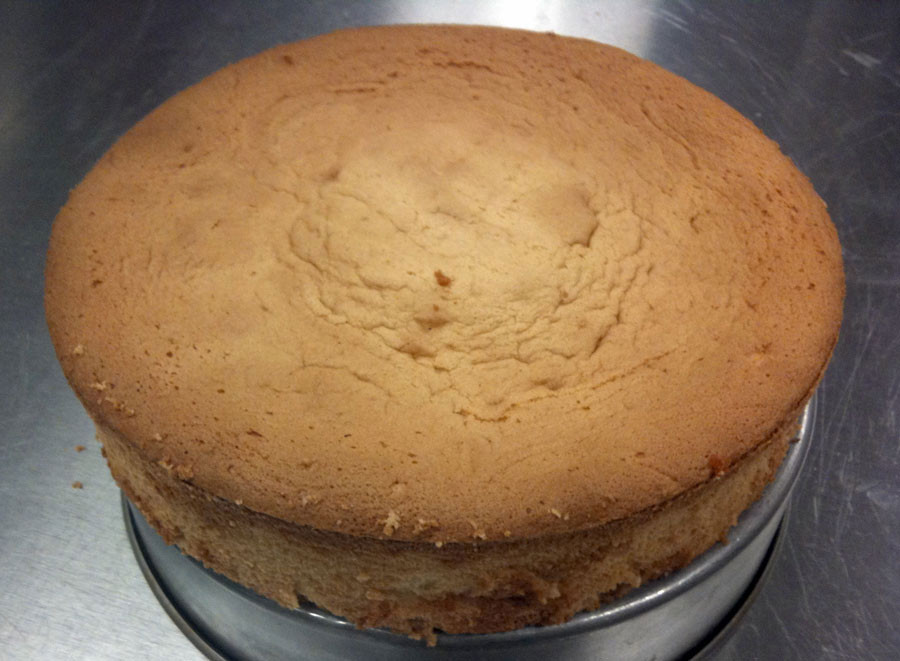Types Of Sponge Cake
 Cakes Types and Baking – Jeff s Baking Blog