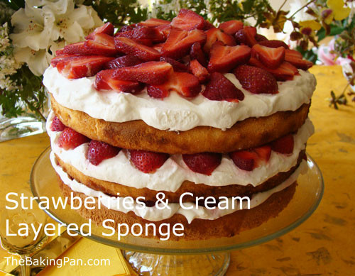 Types Of Sponge Cake
 Strawberries and Cream Layered Sponge Cake Recipe