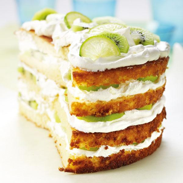 Types Of Sponge Cake
 Verschiedene Arten Von Kuchen Erfahren Sie Mehr Über Sie