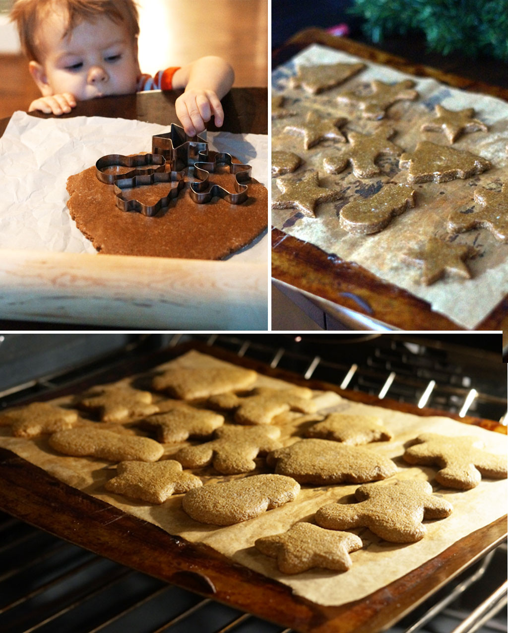 Vegan Gingerbread Cookies
 Vegan & Paleo Gingerbread Cookies