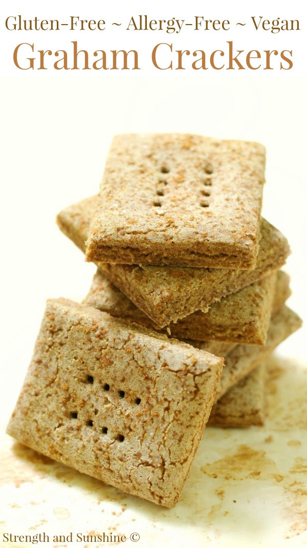 Vegan Graham Crackers
 Homemade Gluten Free Graham Crackers Allergy Free Vegan