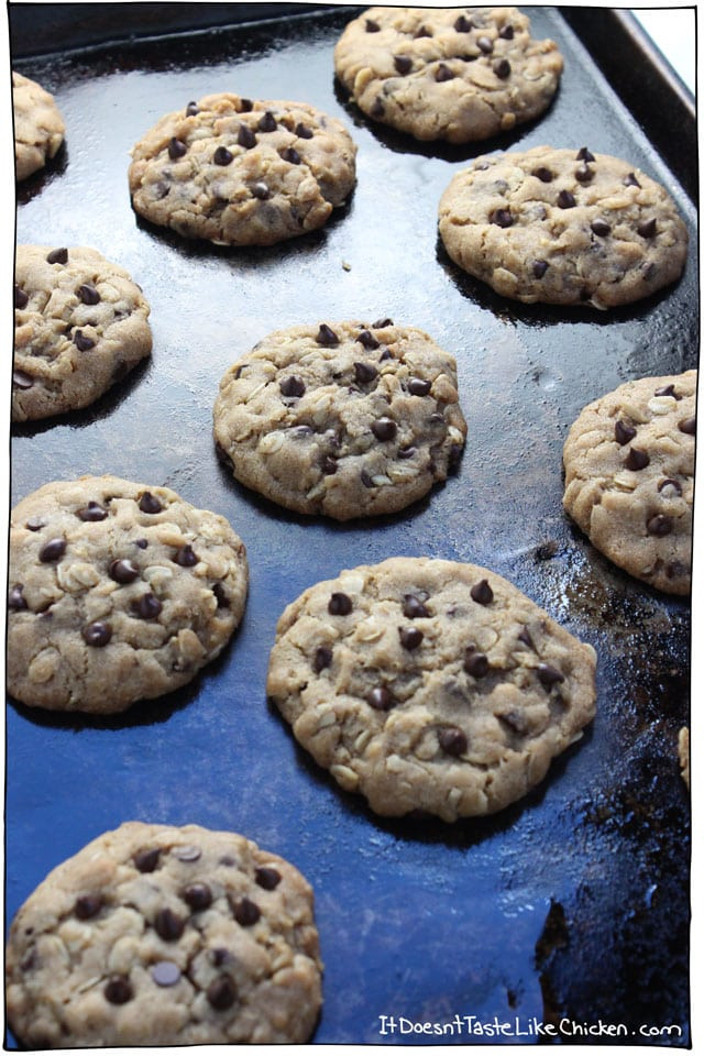 Vegan Oatmeal Chocolate Chip Cookies
 vegan oatmeal chocolate chip cookies recipe