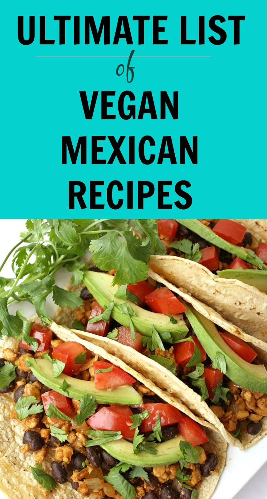 Vegetarian Mexican Recipes
 The Garden Grazer Ultimate List of Vegan Mexican Recipes