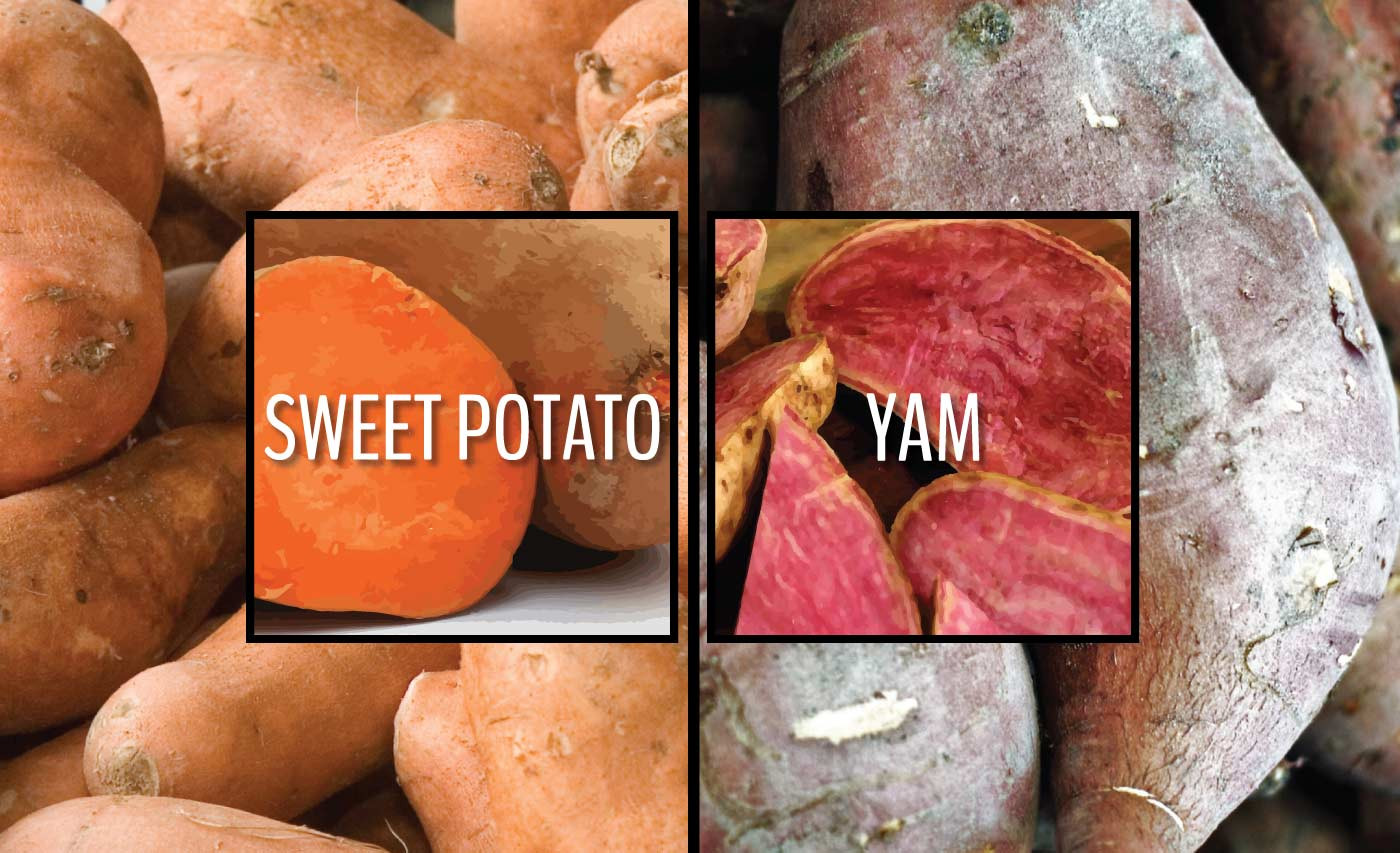 What Is The Difference Between A Sweet Potato And A Yam
 Sweet potatoes or yams Learn the difference right now