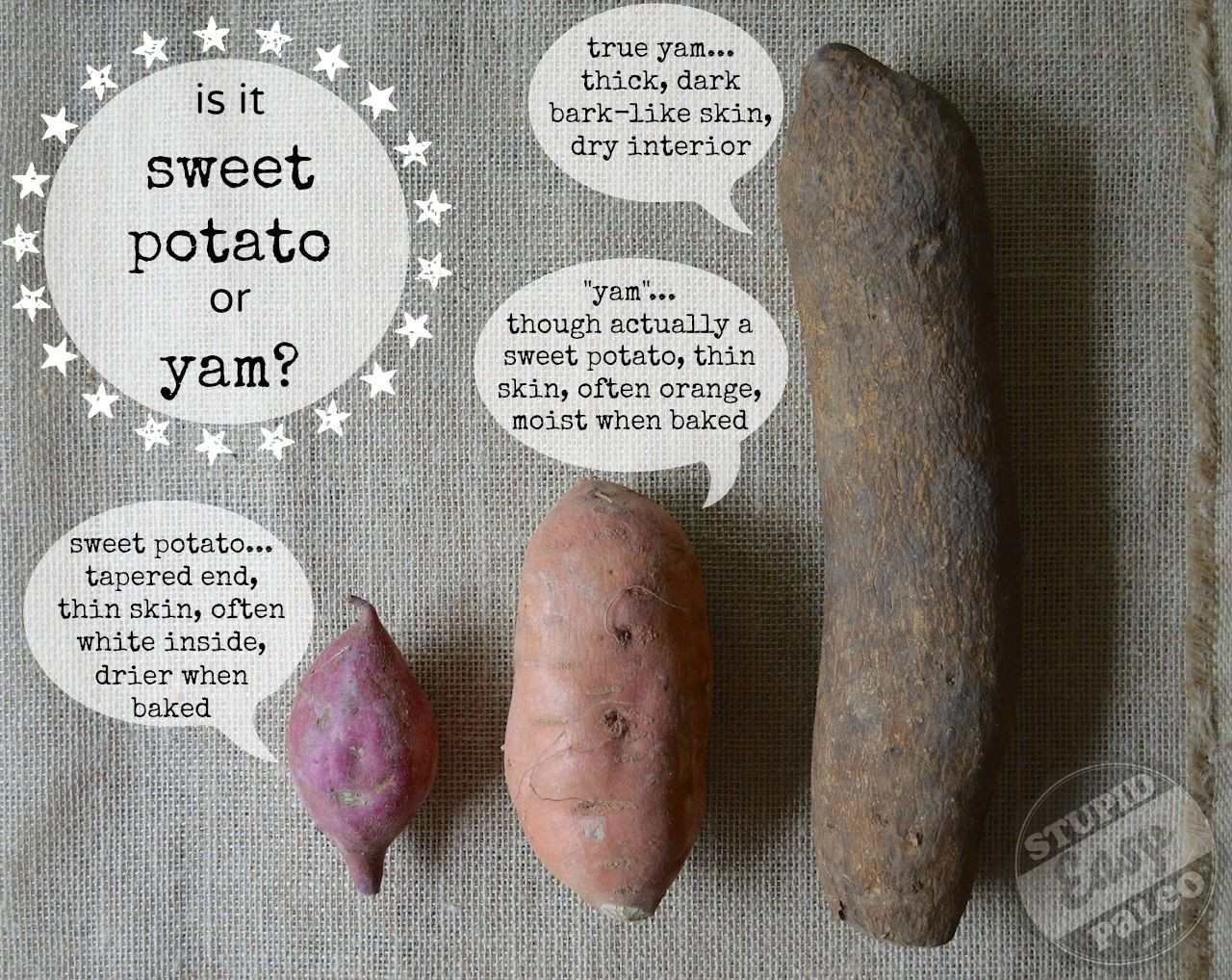 What Is The Difference Between A Sweet Potato And A Yam
 Confused about the differences between yams and sweet