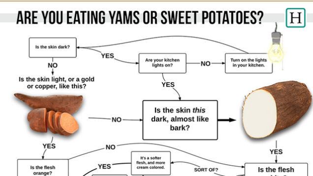 What Is The Difference Between A Sweet Potato And A Yam
 This Flowchart Shows You If You re Eating a Yam or a Sweet