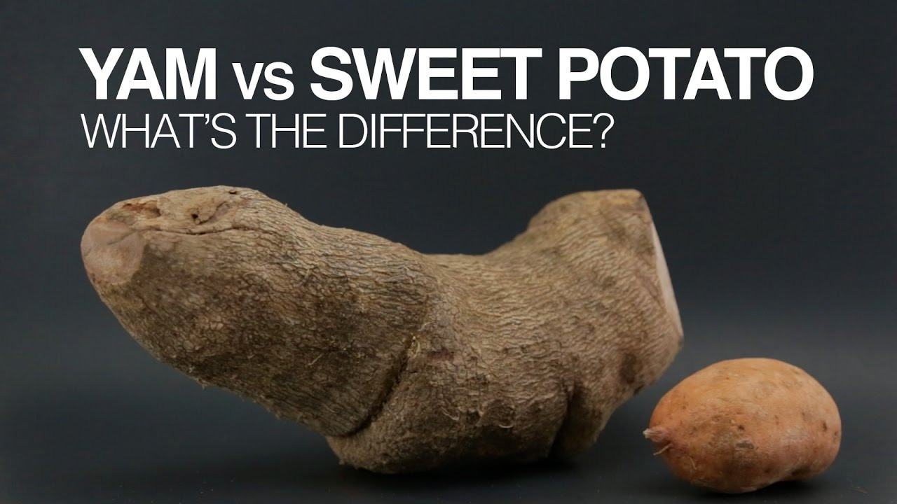 What Is The Difference Between A Sweet Potato And A Yam
 Whats The Difference Between Sweet Potatoes And Yams