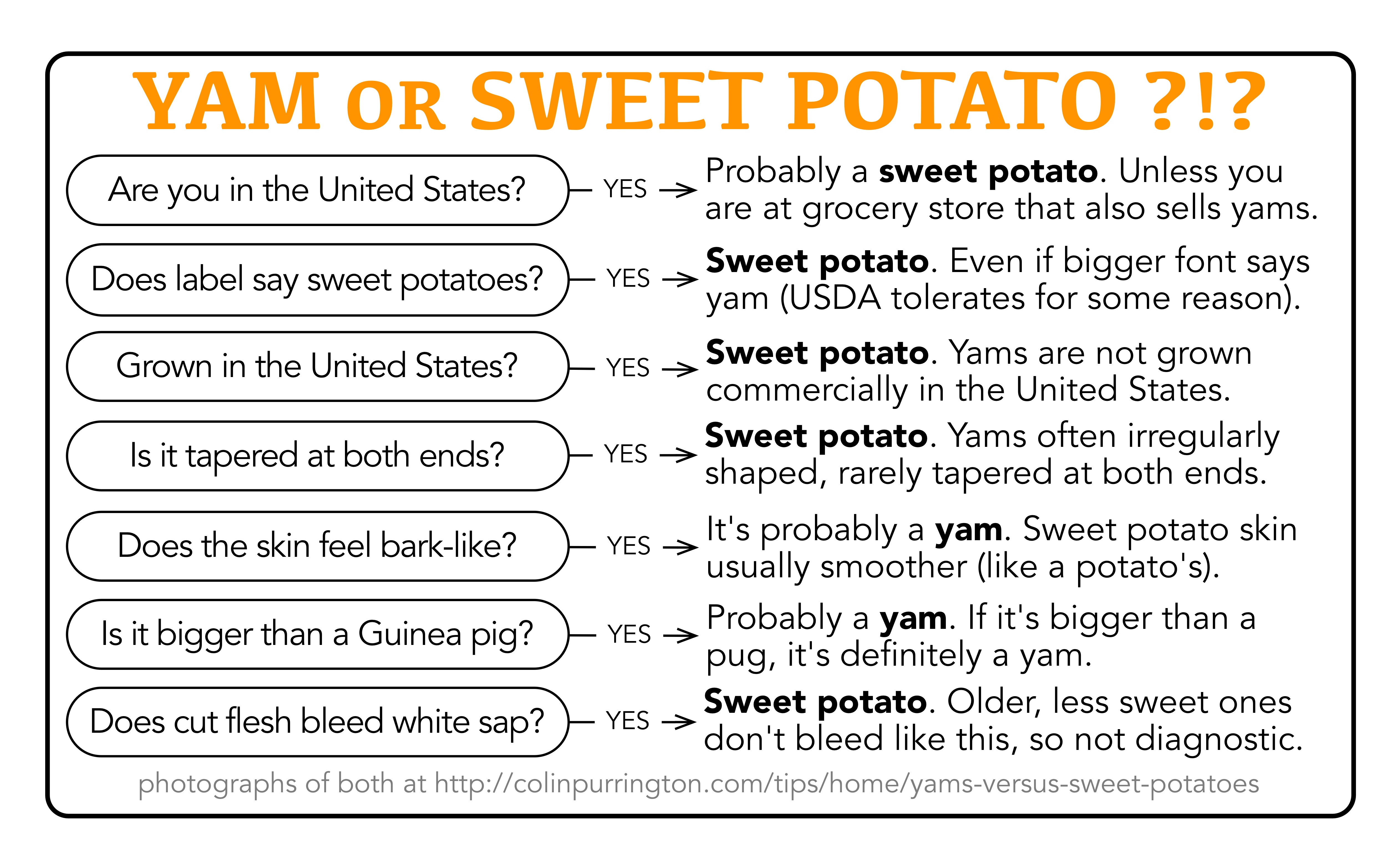 What Is The Difference Between A Yam And A Sweet Potato
 yam Archives Colin Purrington
