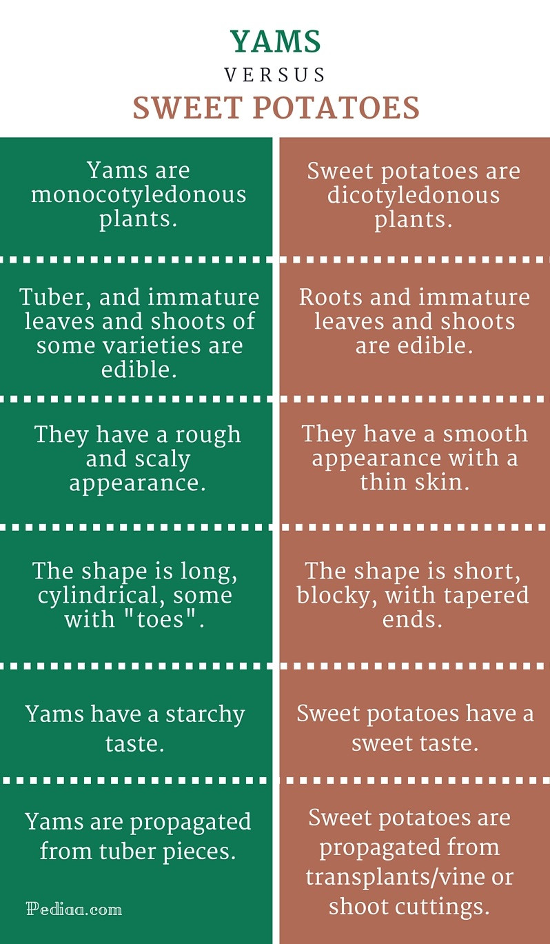 What Is The Difference Between A Yam And A Sweet Potato
 Difference Between Yams and Sweet Potatoes