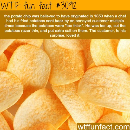 Who Invented Potato Chips
 How potato chips were invented WTF fun facts