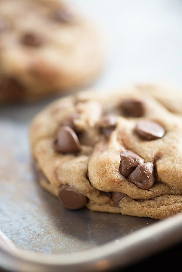 World'S Best Chocolate Chip Cookies
 Perfect Chocolate Chip Cookies — Buns In My Oven