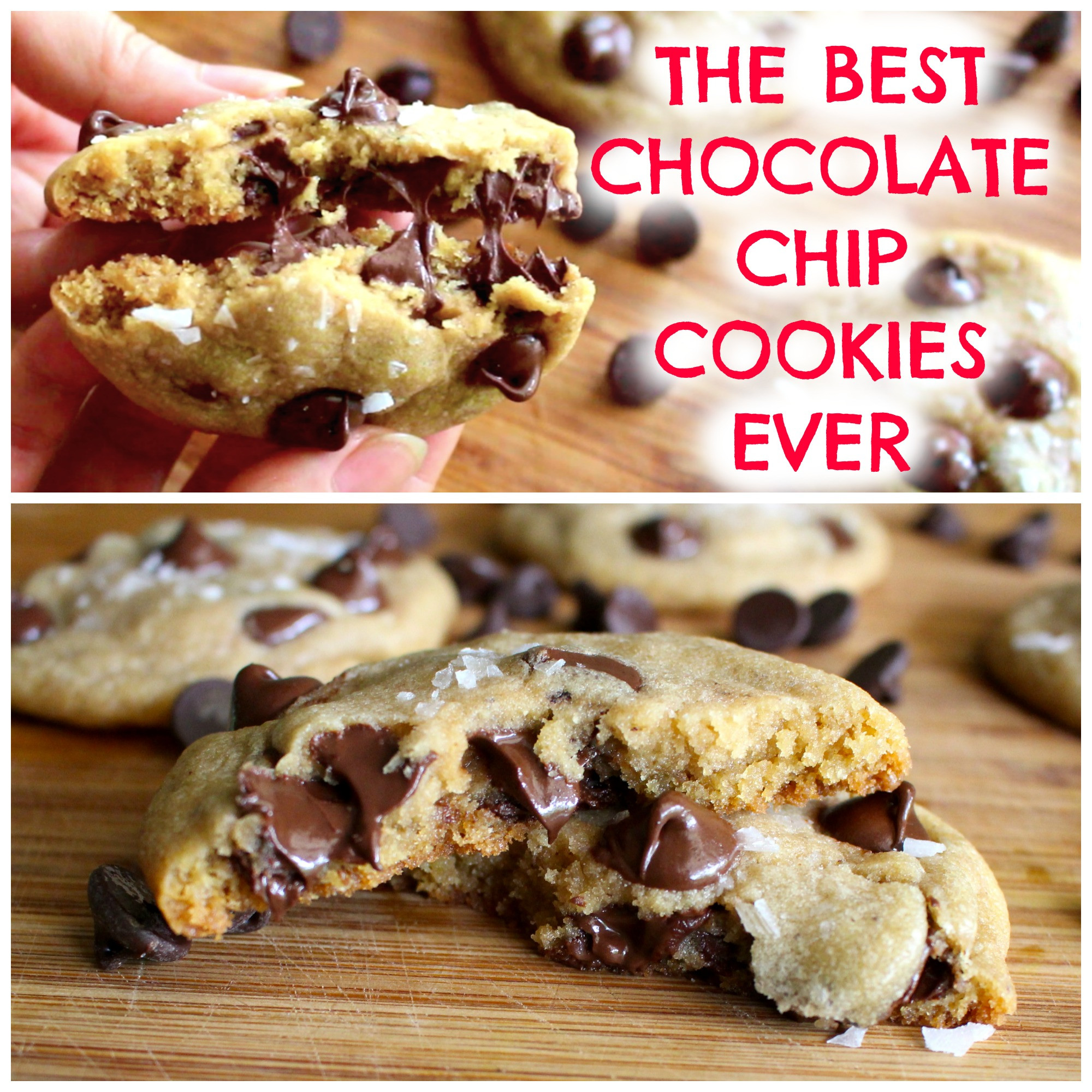 World'S Best Chocolate Chip Cookies
 The Best Chocolate Chip Cookies Ever