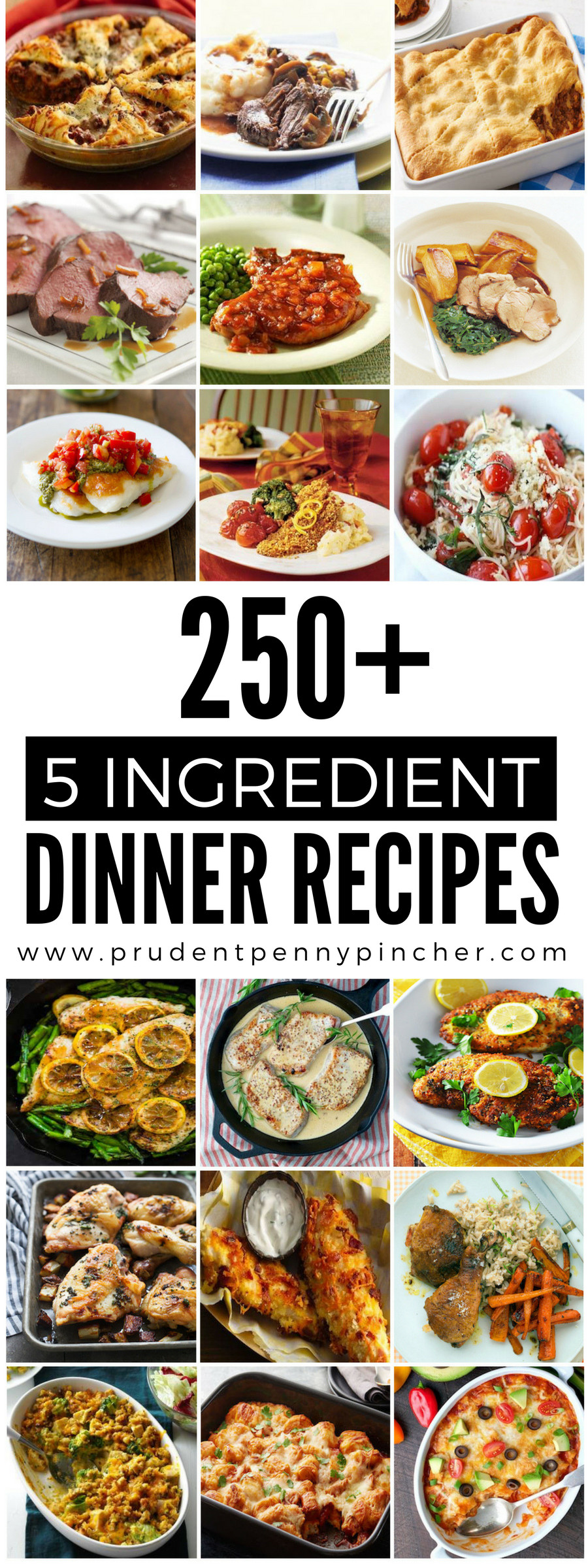 5 Ingredient Dinner Recipes
 250 5 Ingre nt Dinner Recipes Prudent Penny Pincher