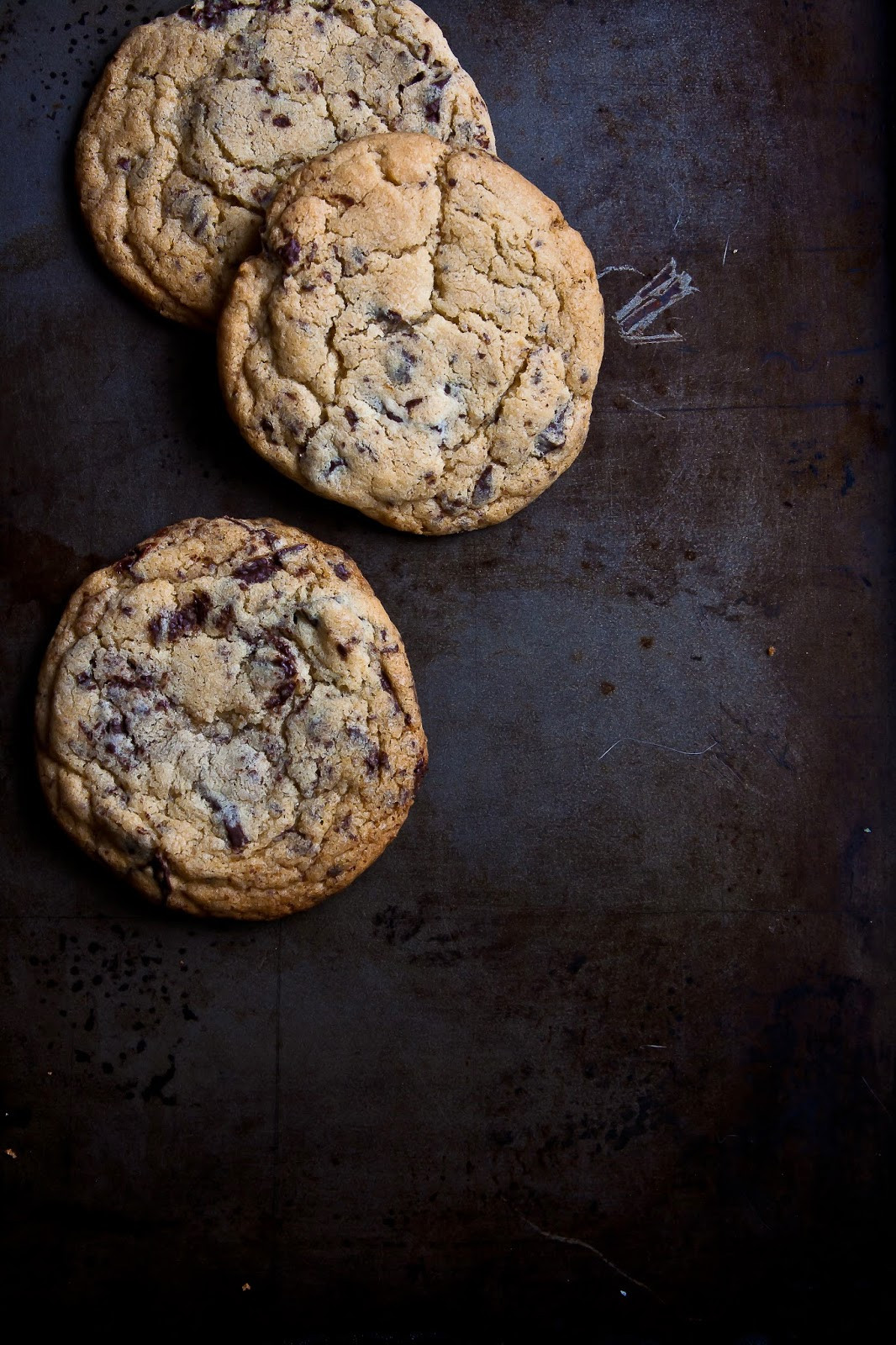 Absolute Best Chocolate Chip Cookies
 5 Food Blogs I m Following Now