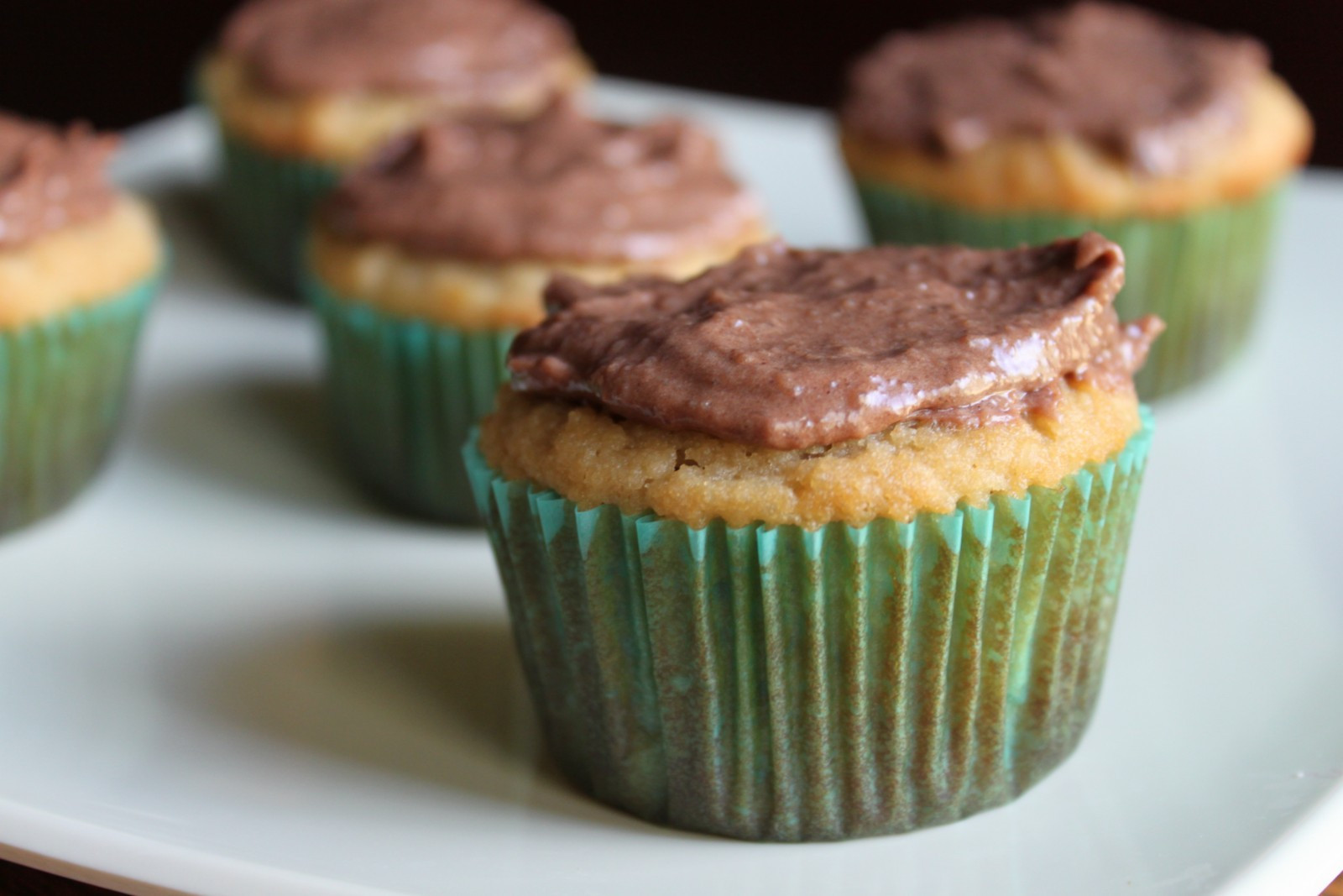 Almond Flour Cupcakes
 Vanilla Cupcakes almond flour and coconut flour bo