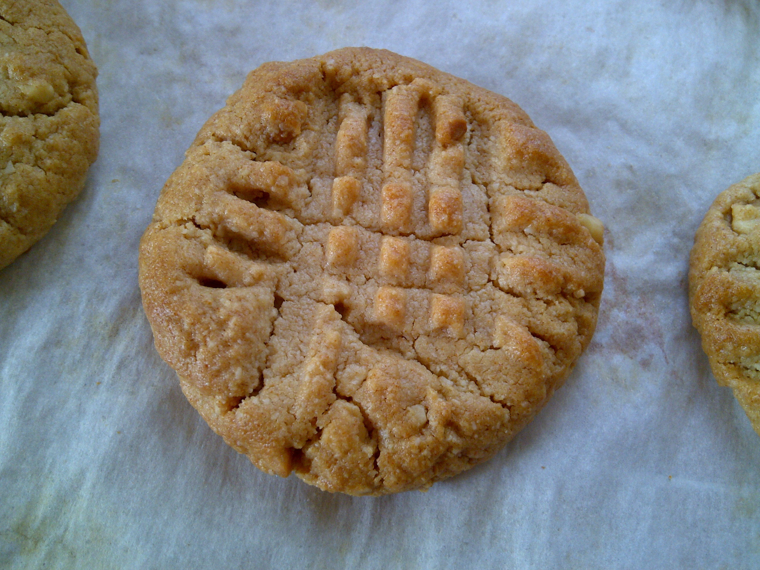 Almond Flour Peanut Butter Cookies
 peanut butter cookies