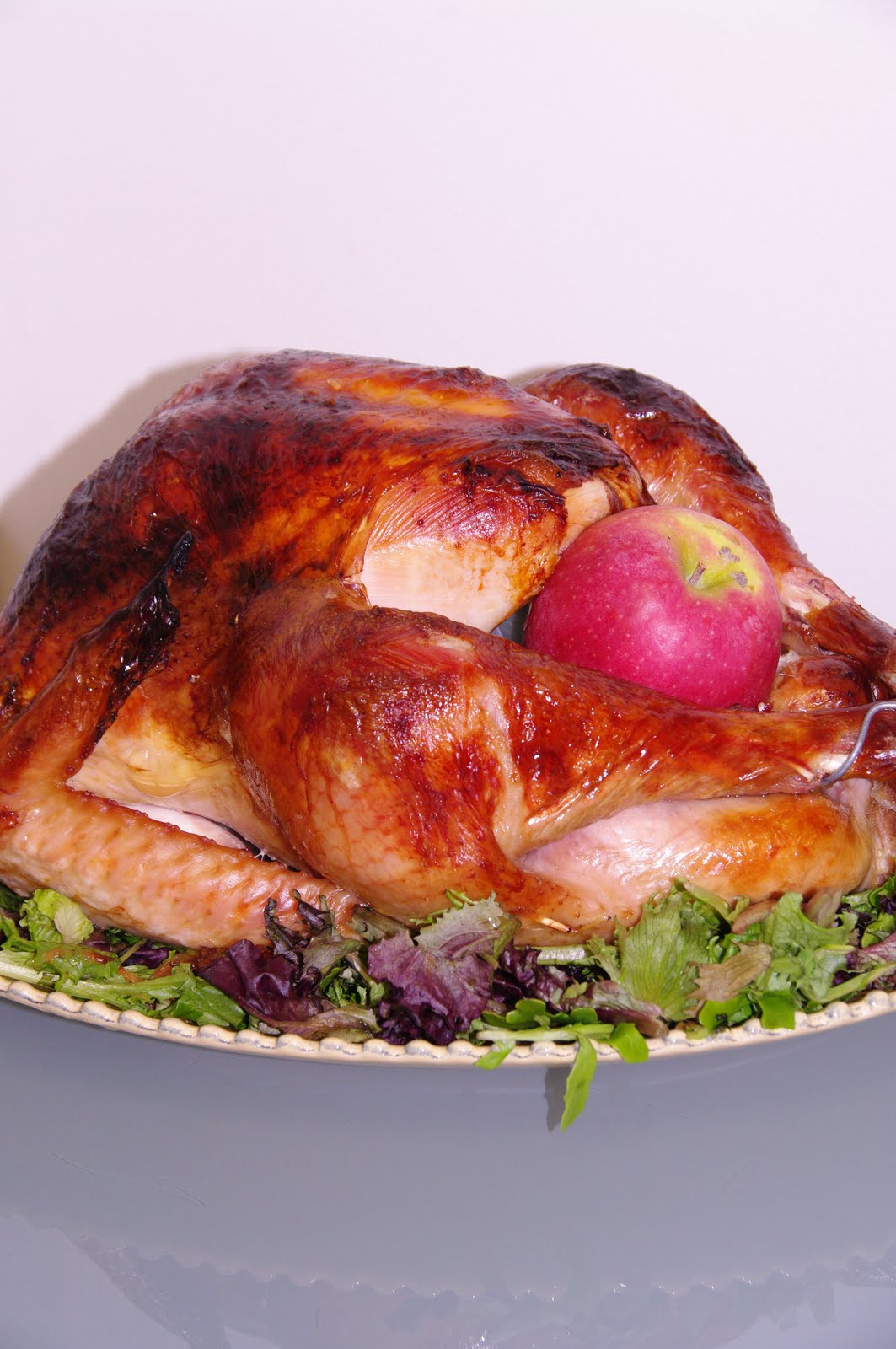 Alton Brown Thanksgiving Turkey
 A Blog About Food Alton Brown s Roast Turkey