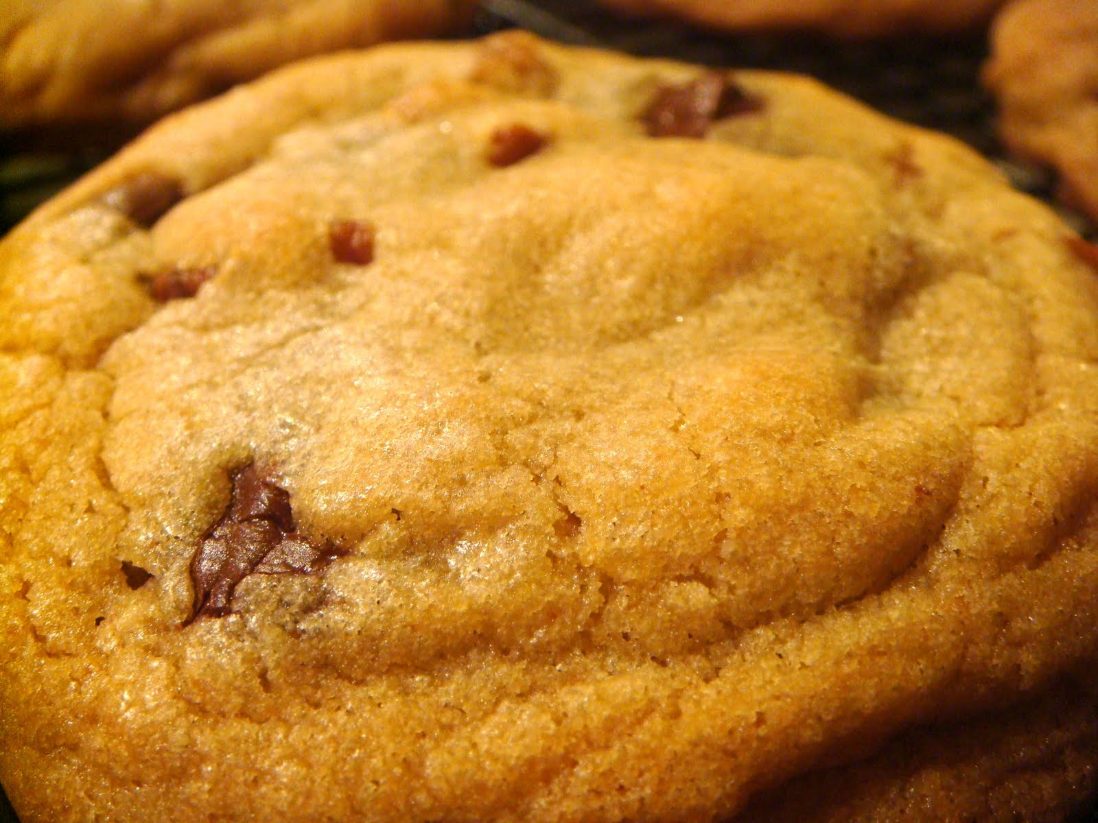 America'S Test Kitchen Chocolate Chip Cookies
 Delicious Dishings America s Test Kitchen s Boston