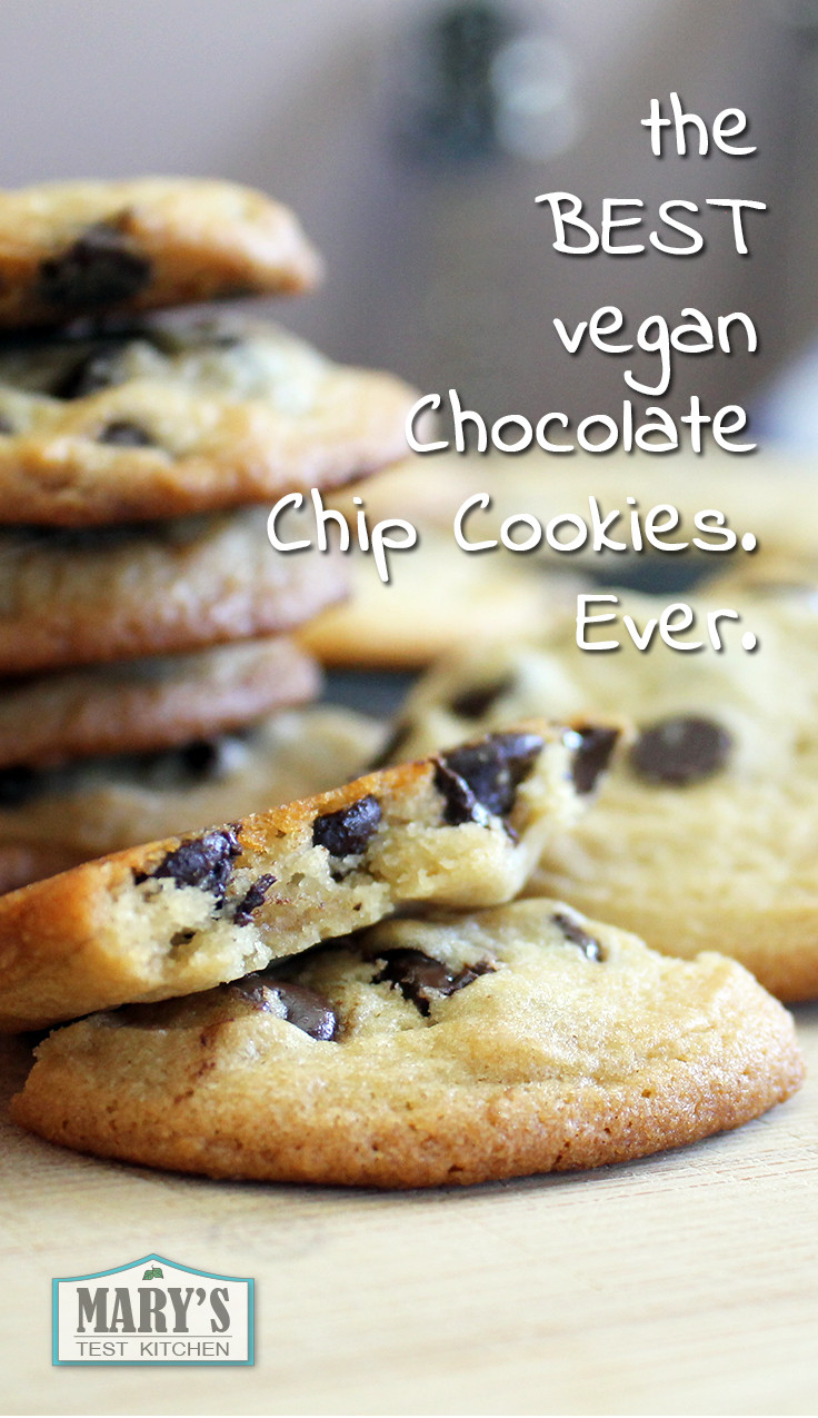 America'S Test Kitchen Chocolate Chip Cookies
 The BEST Vegan Chocolate Chip Cookies Mary s Test Kitchen
