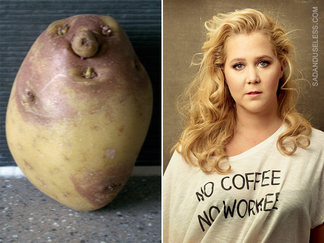 Amy Schumer Or Potato
 Potato or Amy Schumer Can You Tell the Difference