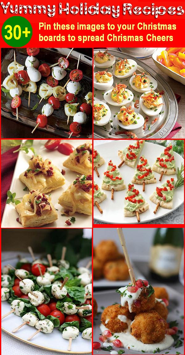 Appetizers For Christmas
 30 Holiday Appetizers Recipes for Christmas and New Year