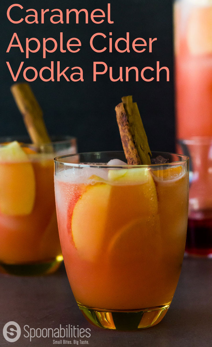 Apple Cider Drink
 Caramel Apple Cider Vodka Punch Cocktail