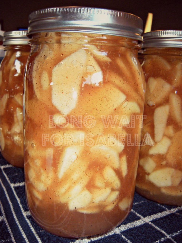 Apple Pie Filling Canned
 Apple Pie Filling Long Wait For Isabella