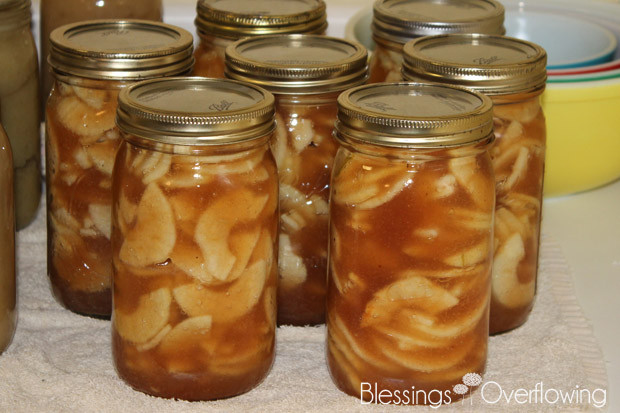 Apple Pie Filling Canned
 Canned Apple Pie Filling Recipe Blessings Overflowing