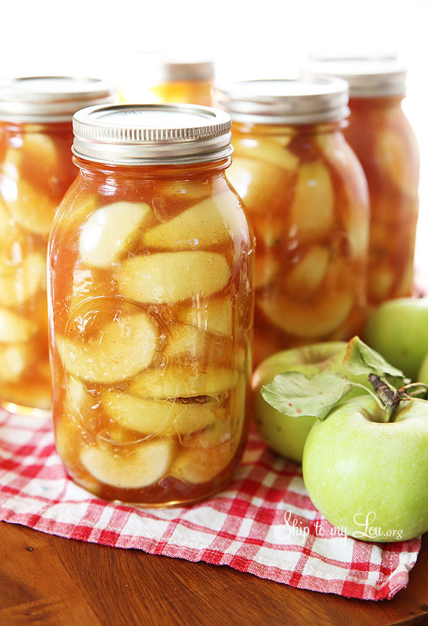 Apple Pie Filling Canned
 canned pie filling recipes