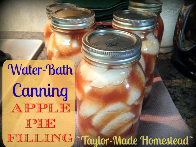 Apple Pie Filling For Canning
 Recipe Water Bath Canning Delicious Apple Pie Filling