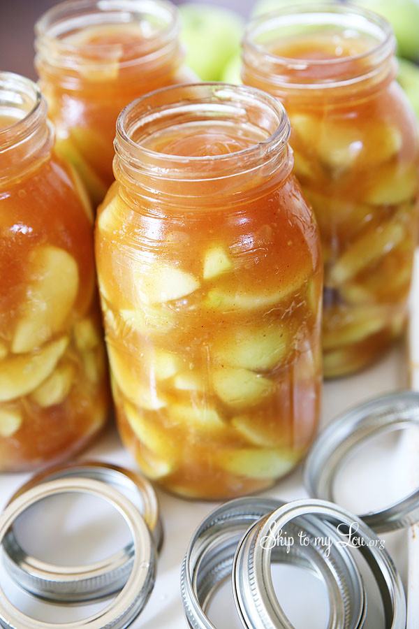 Apple Pie Filling For Canning
 Homemade Apple Pie Filling Recipe Skip to my Lou