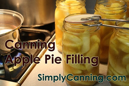 Apple Pie Filling For Canning
 Canning Apple Pie Filling Tips and tricks for and easy