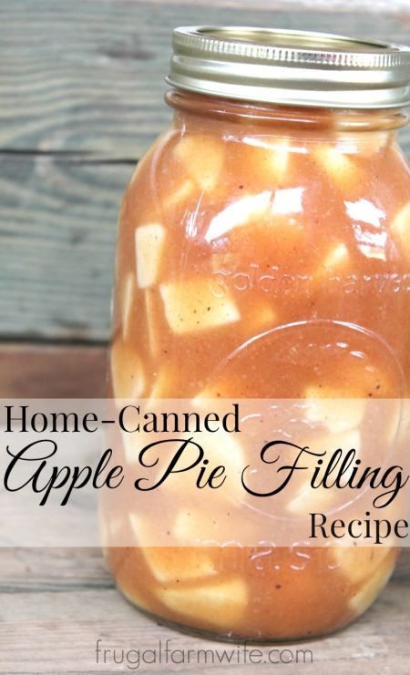Apple Pie Filling Recipe
 240 best images about it wasn t raining when noah