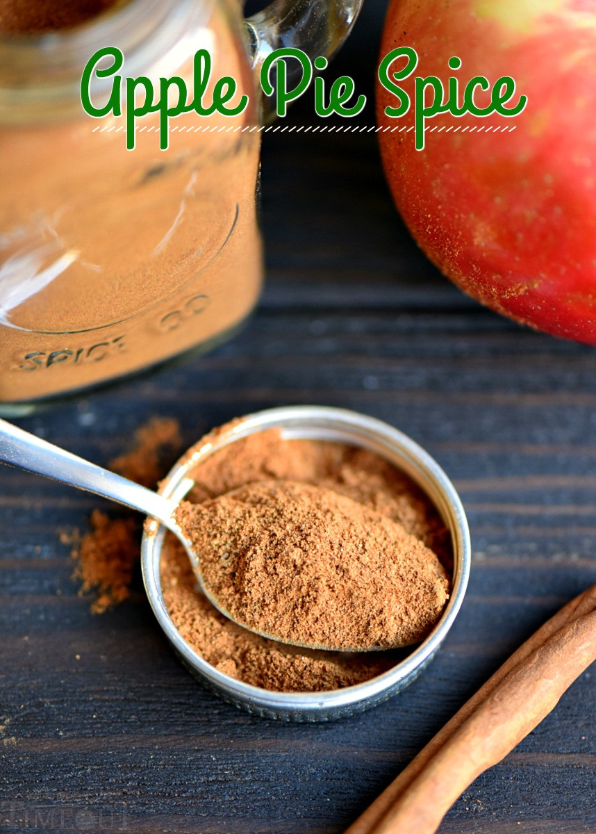 Apple Pie Spice
 Homemade Apple Pie Spice Recipe Mom Timeout